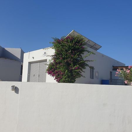 Casa De La Vida Liebetruth A Villa Aspe Exterior photo