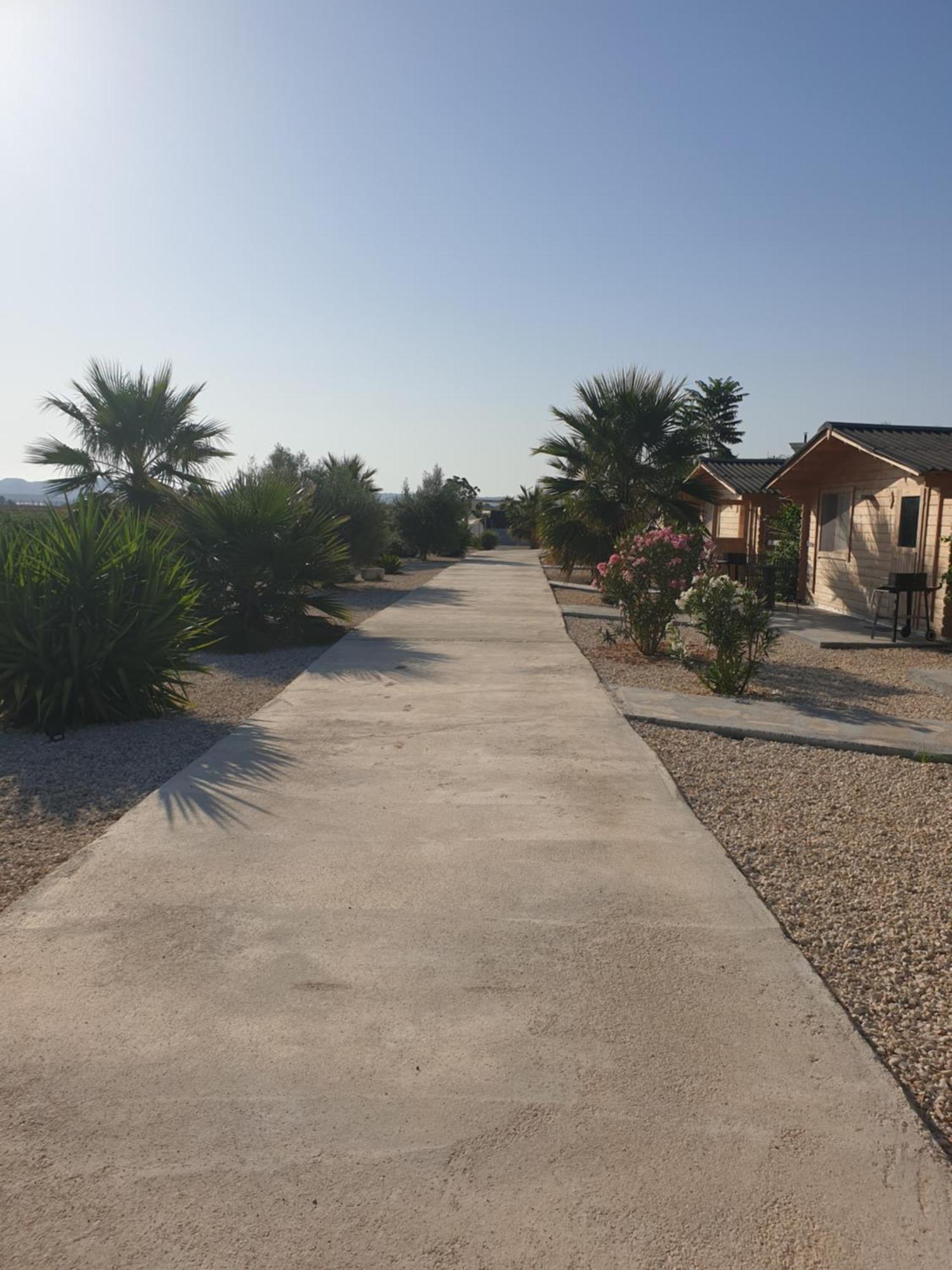 Casa De La Vida Liebetruth A Villa Aspe Exterior photo