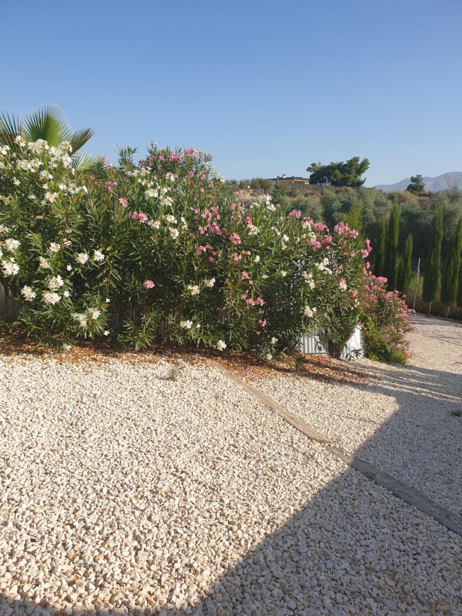 Casa De La Vida Liebetruth A Villa Aspe Exterior photo